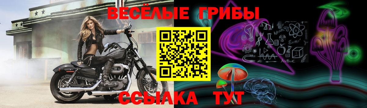 Псилоцибиновые грибы Magic Shrooms Михайловка