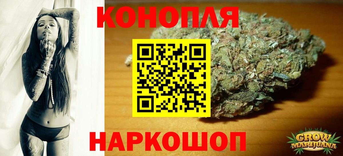 МАРИХУАНА конопля Михайловка